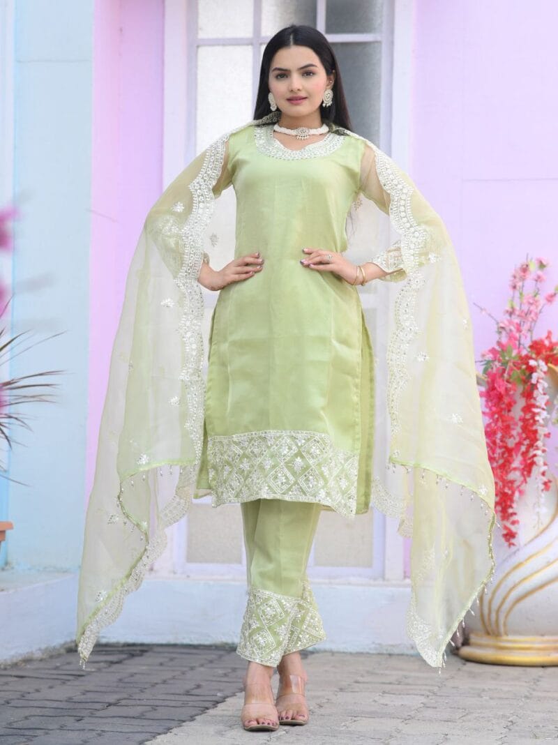 Organza salwar suit