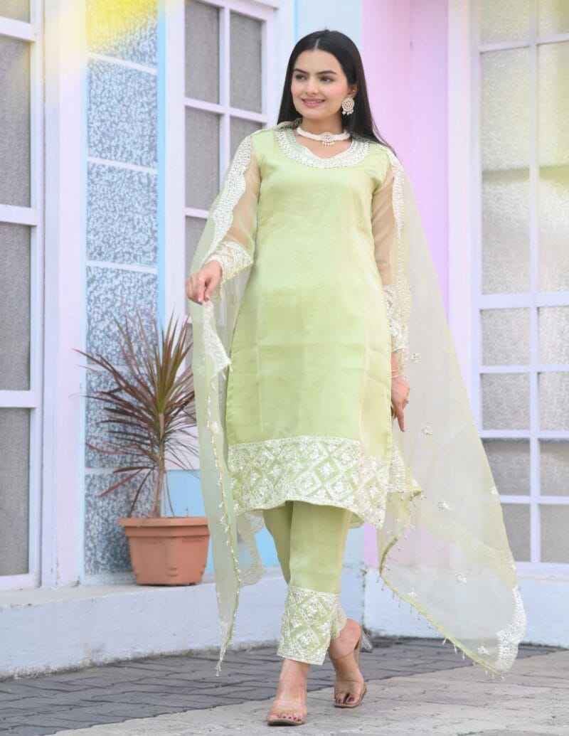Organza salwar suit