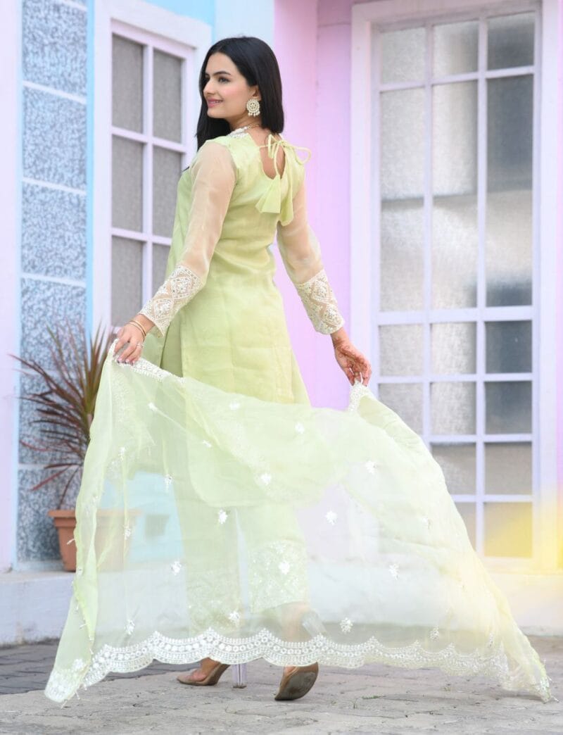 Organza salwar suit