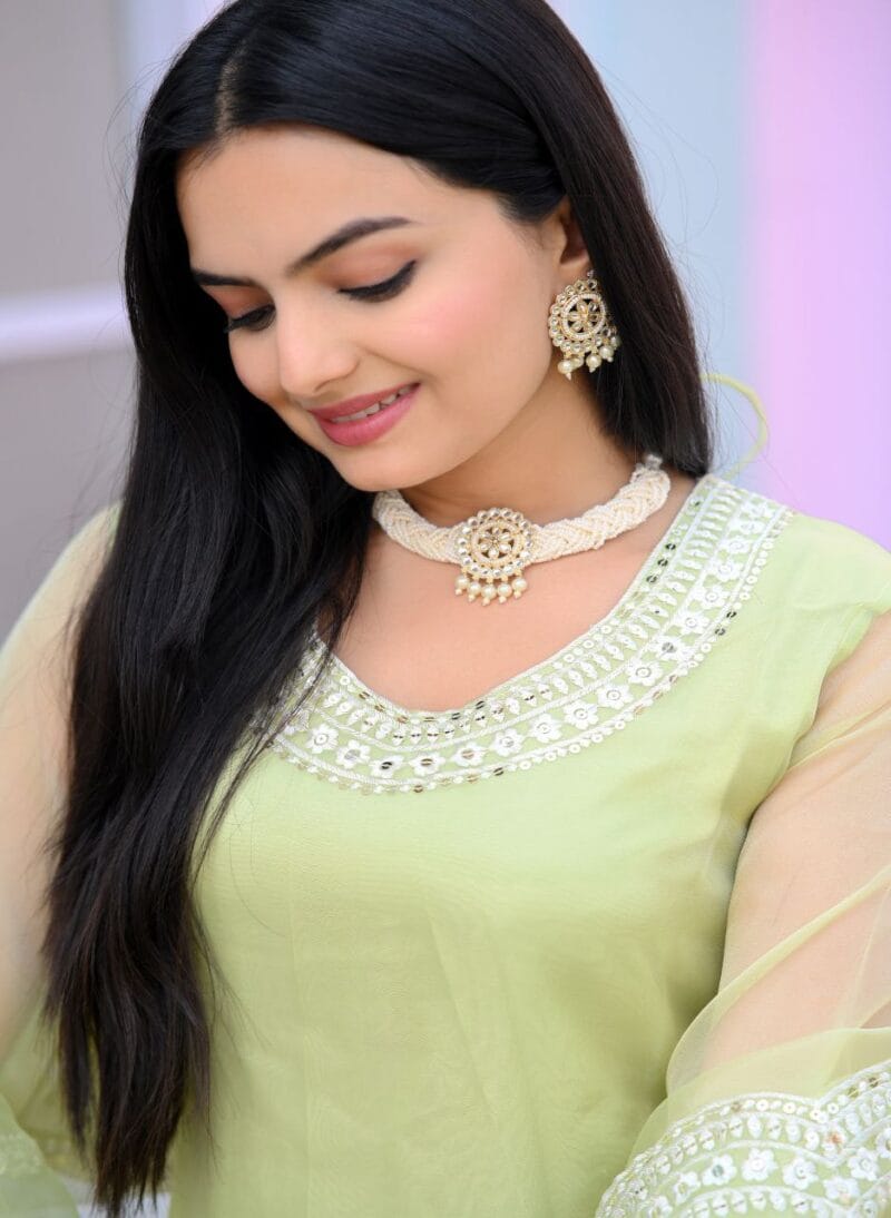 Organza salwar suit